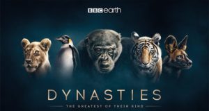 BBC natural history series, Dynaties